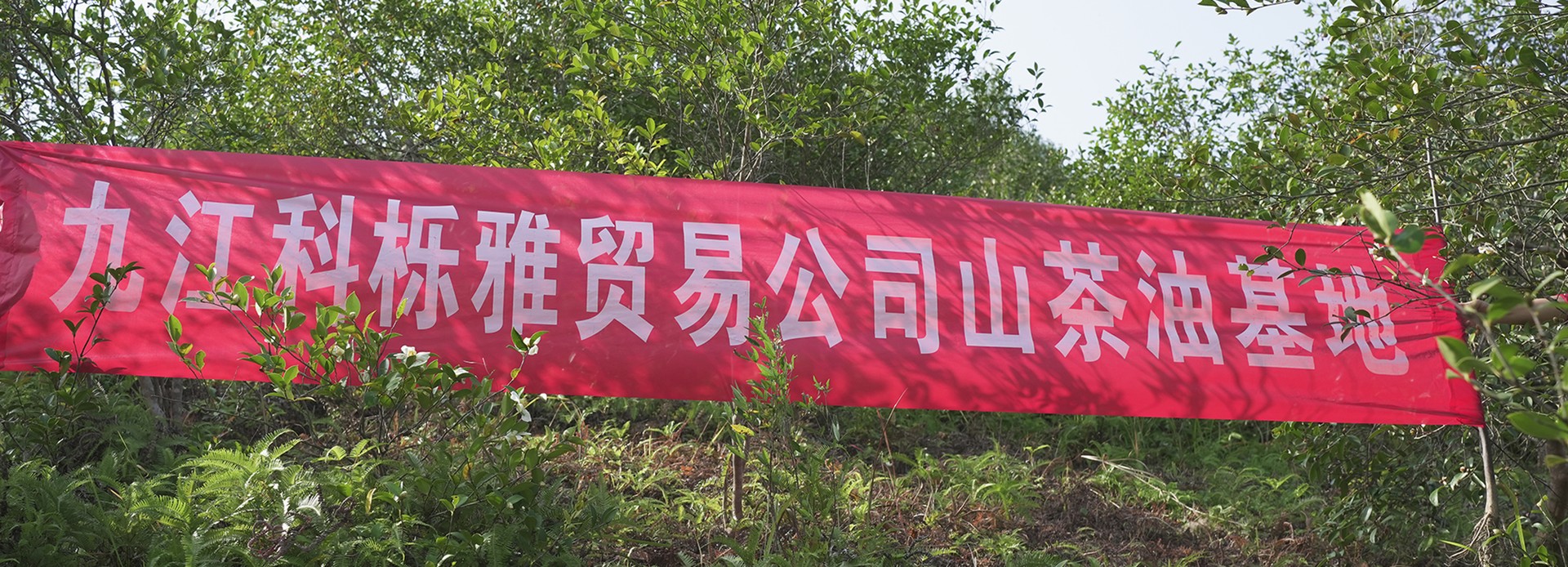 生态基地